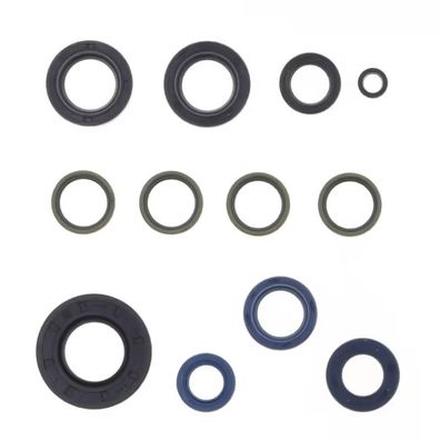Engine oil seals kit / Motorsimmerringe Ducati Monster Sport Superstrada 02-08
