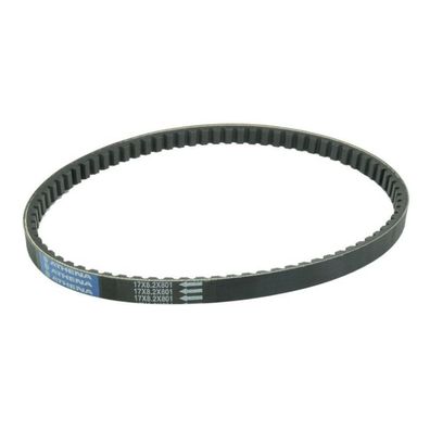 Antriebsriemen Piaggio Gilera Italjet OEM 430728 3341011