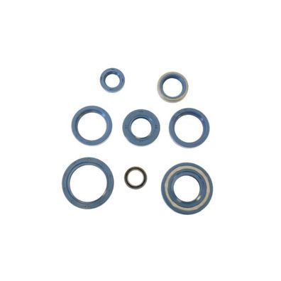 Engine oil seals kit / Motorsimmerringe Cagiva Ducati