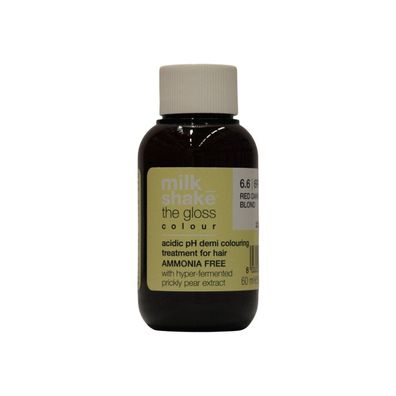 MS DIE Glanzfarbe 6,6 60ML