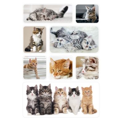 24 HERMA Aufkleber Katzen