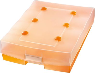 HAN Archivbox CROCO DUO, einfach Vokabeln lernen mit 5-Fächer-Lernsystem, DIN A8 Kart
