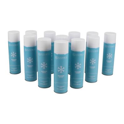 Scheibenenteiser Spraydose Entfrosterspray Enteiserspray Frostschutz 12x 500ml