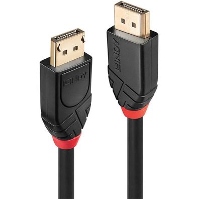 Aktives DisplayPort 1.2 Kabel (schwarz, 10 Meter)