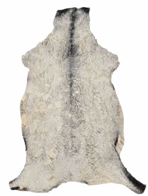 Gotland Schaffell Echt | Naturweiß-Grau, ca. 102 cm | Lockenflor | Öko gegerbt | Unik