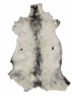 Schaffell Echt | Naturweiß-Grau, ca. 92 cm | Kurzflor | Öko gegerbt | Unikat 176-195