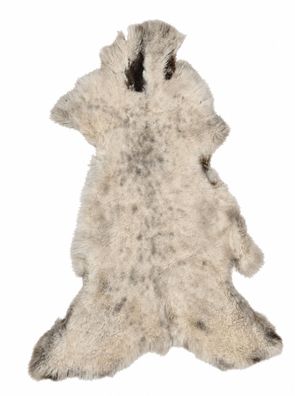 Schaffell Echt | Naturweiß-Grau, ca. 121 cm | Kurzflor | Öko gegerbt | Unikat 176-168