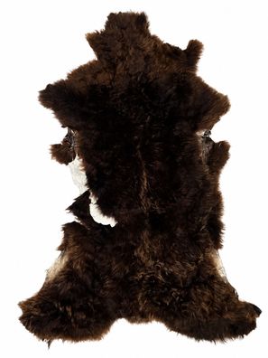 Schaffell Echt | Dunkelbraun, ca. 116 cm | Lockenflor | Öko gegerbt | Unikat 176-167