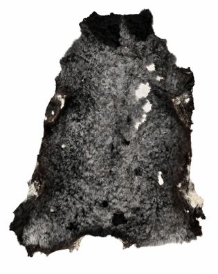 Schaffell Echt | Naturgrau-Schwarz, ca. 121 cm | Lockenflor | Öko gegerbt | Unikat 17