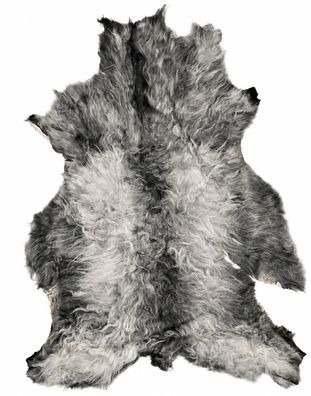 Schaffell Echt | Naturgrau, ca. 113 cm | Lockenflor | Öko gegerbt | Unikat 176-143