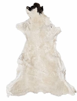 Schaffell Echt | Naturweiß-Dunkelbraun, ca. 105 cm | Kurzflor | Öko gegerbt | Unikat