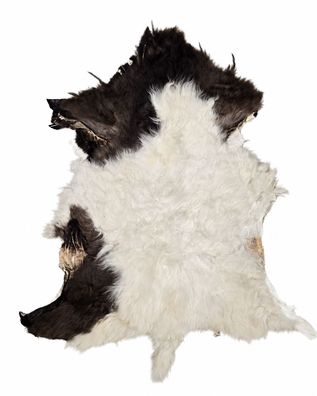 Schaffell Echt | Naturweiß-Dunkelbraun, ca. 99 cm | Weichflor | Öko gegerbt | Unikat