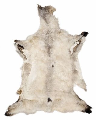 Schaffell Echt | Hellgrau-Creme, ca. 120 cm | Kurzflor | Öko gegerbt | Unikat 176-131