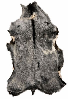 Schaffell Echt | Naturgrau-Silber, ca. 122 cm | Kurzflor | Öko gegerbt | Unikat 176-1