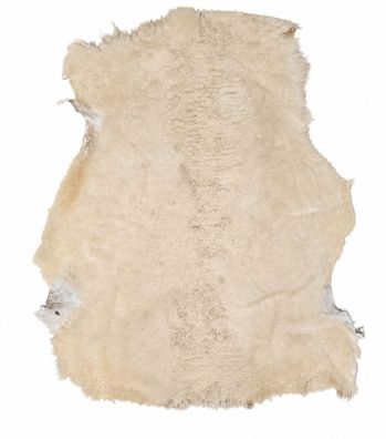 Schaffell Echt | Cremeweiß, ca. 90 cm | Weichflor Kurzhaar | Öko gegerbt | Unikat 176