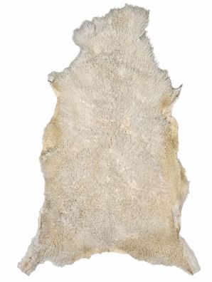 Gotland Schaffell Echt | Naturweiß-Cremeweiß, ca. 127 cm | Lockenflor | Öko gegerbt |