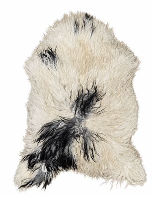 Isländisches Schaffell Echt | Naturweiß-Schwarz-Grau, ca. 120 cm | Langflor | Öko geg