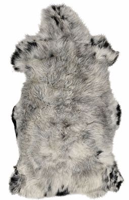 Schaffell Echt | Hellgrau-Silbergrau, ca. 118 cm | Weichflor | Öko gegerbt | Unikat 1