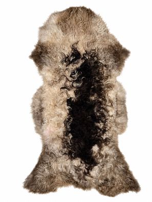 Schaffell Echt | Cremeweiß-Dunkelbraun, ca. 97 cm | Lockenflor | Öko gegerbt | Unikat