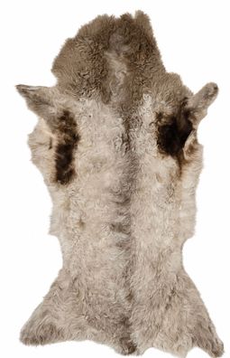 Schaffell Echt | Cremeweiß-Graubeige, ca. 92 cm | Lockenflor | Öko gegerbt | Unikat 1