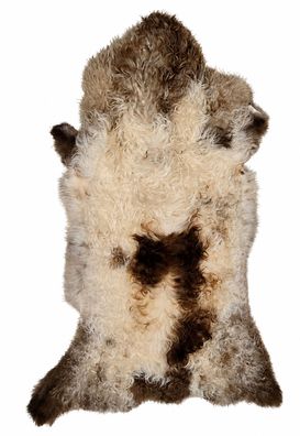 Schaffell Echt | Cremeweiß-Braun, ca. 96 cm | Lockenflor | Öko gegerbt | Unikat 166-0