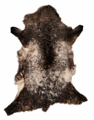 Schaffell Echt | Dunkelbraun-Cremeweiß, ca. 90 cm | Lockenflor | Öko gegerbt | Unikat