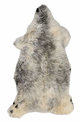 Schaffell Echt | Silbergrau-Cremeweiß, ca. 119 cm | Kurzhaar-Weichflor | Öko gegerbt