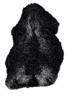 Schaffell Echt | Schwarz-Silbergrau, ca. 103 cm | Lockenflor | Öko gegerbt | Unikat 1