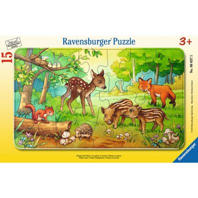 Pz. Tierkinder des Waldes 15T