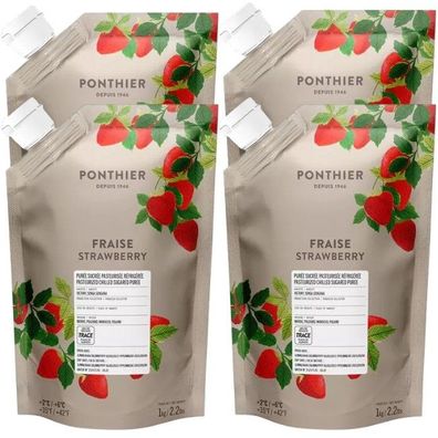 Ponthier Erdbeere Fruchtpüree 4x 1kg Erdbeer Püree Premium Victory Inspire Marokko