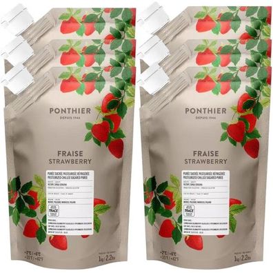 Ponthier Erdbeere Fruchtpüree 6x 1kg Erdbeer Püree Premium Victory Inspire Marokko