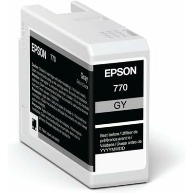 Epson Epson Ink Gray (C13T46S700)