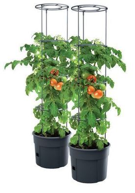 2x Tomatentopf Tomatenpflanzen Pflanzkübel Schutzfolie 28L Tomato Gurken Growe