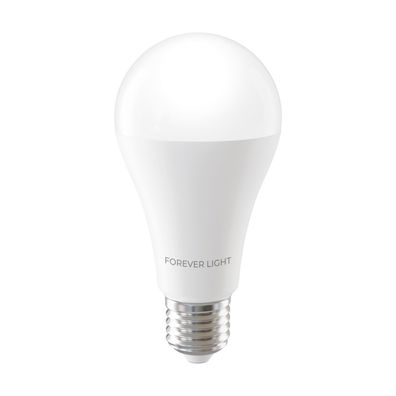 Forever Light LED Lampe E27 A65 17 W 2100 lm Neutralweiß 4000 K Energieklasse E