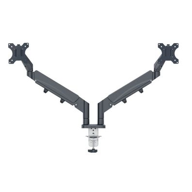 Leitz Monitor-Halterung Ergo 65370089 dunkelgrau für 2 Monitore, Tischklemme