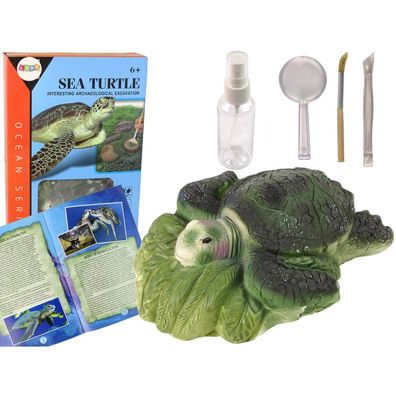 LeanToys Lehrset zur Ausgrabung von Ammonitenschildkröten