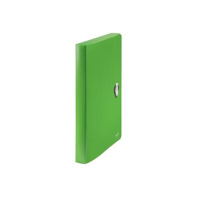 Leitz Heftbox Recycle 4,0 cm grün