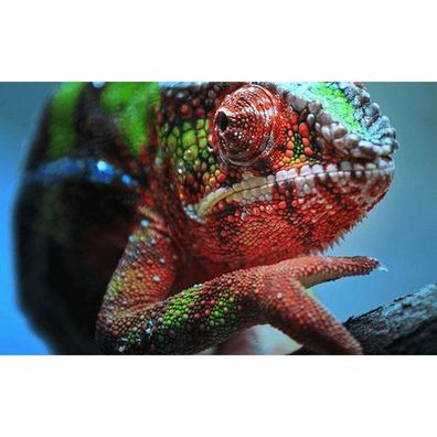 Epson - V11H959040 - Datenprojektor