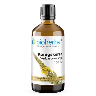 Bioherba Königskerze Verbascum spp. Tropfen Tinktur