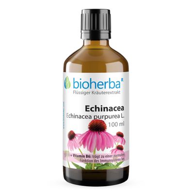 Bioherba Echinacea Echinacea purpurea L. Tropfen Tinktur