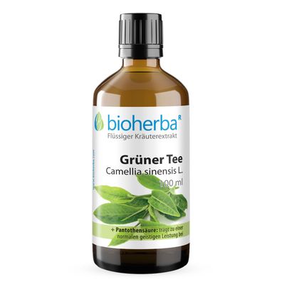 Bioherba Grüner Tee Camellia sinensis L. Tropfen Tinktur
