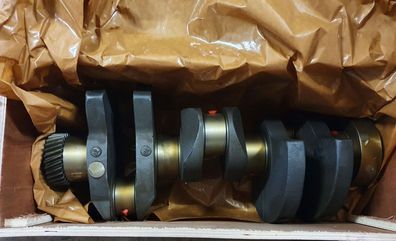 Kurbelwelle für Deutz KHD F3L912 Vergl. 04152646 02929338 NEU 02931044