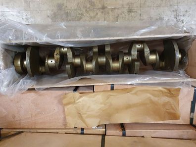 Kurbelwelle für Deutz KHD F6L913 Vergl. 02931056 NEU