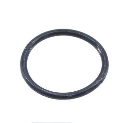 10x O-Ring Ref. Nr. 1900210018