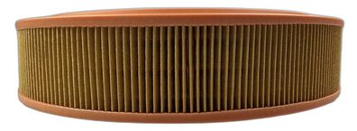 Luftfilter Mann-Filter C 2957