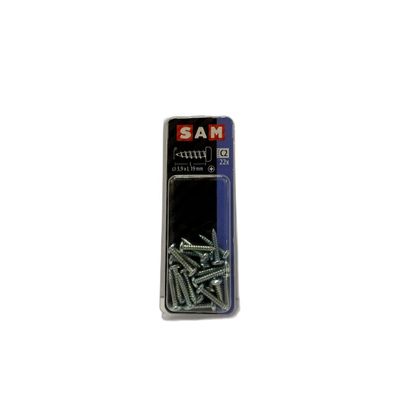 SAM/MACK Blechschraube Zylinderkopf 3,9x19mm 22 Stück