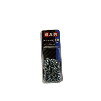 SAM/MACK Blechschraube Zylinderkopf 4,2x13mm, 60 Stück