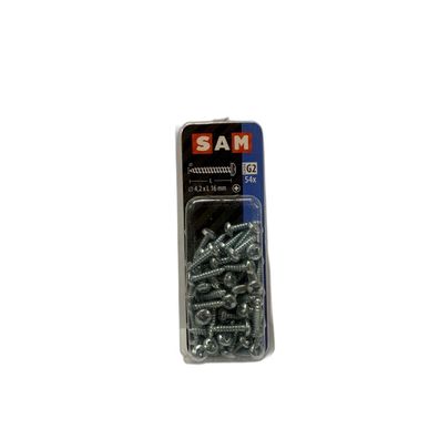 SAM/MACK Blechschraube Zylinderkopf 4,2 x L 16mm 54 Stück