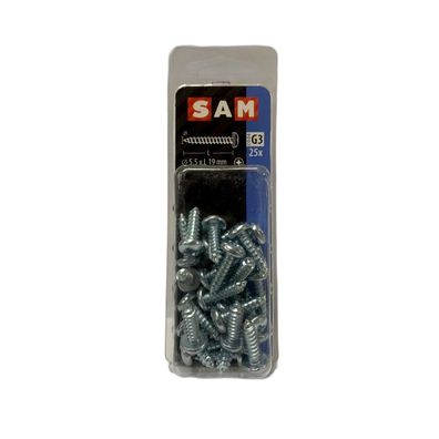SAM/MACK Blechschraube Zylinderkopf 5,5 x 19 mm , 25 Stück