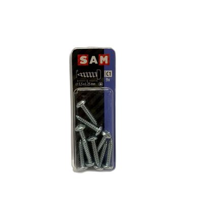 SAM/MACK Blechschraube Zylinderkopf 5,5 x 25 mm, 9 Stück
